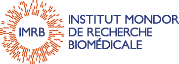 logo IMRB